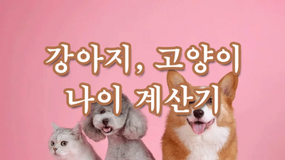 강아지, 고양이 나이 계산기