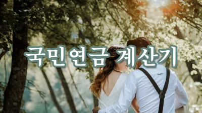 국민연금계산기